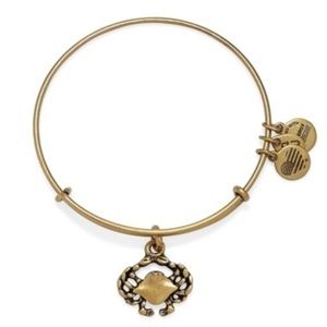 Alex and Ani Crab Charm Bracelet